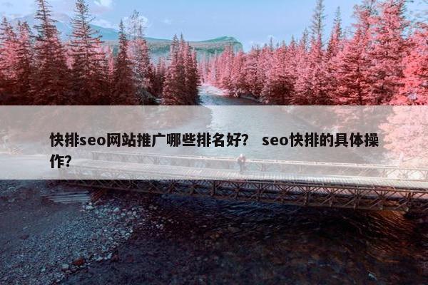 快排seo网站推广哪些排名好？ seo快排的具体操作？