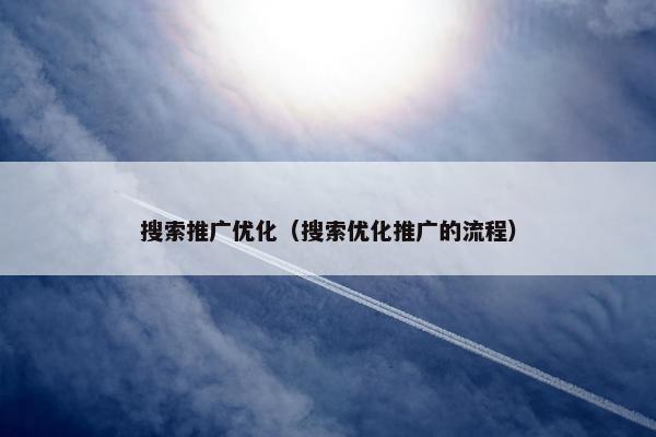 搜索推广优化（搜索优化推广的流程）