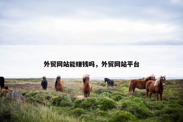 外贸网站能赚钱吗，外贸网站平台