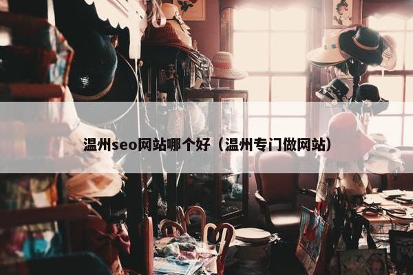 温州seo网站哪个好（温州专门做网站）