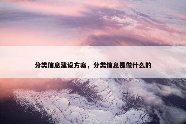 分类信息建设方案，分类信息是做什么的