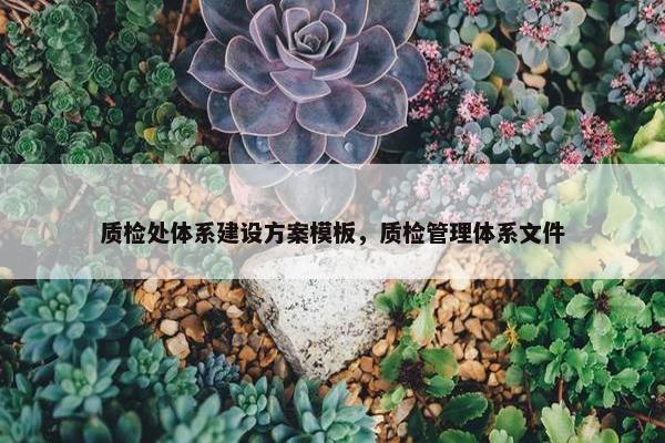 质检处体系建设方案模板，质检管理体系文件