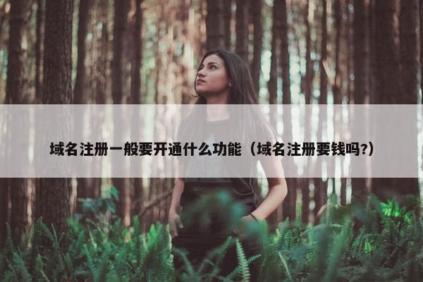 域名注册一般要开通什么功能（域名注册要钱吗?）