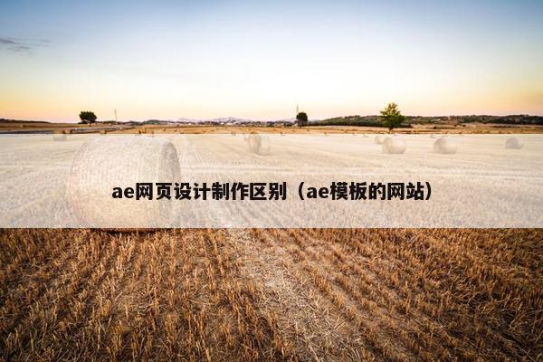 ae网页设计制作区别（ae模板的网站）