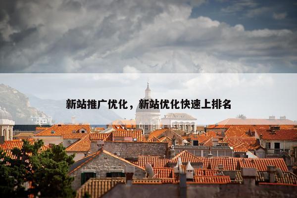 新站推广优化，新站优化快速上排名
