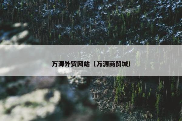 万源外贸网站（万源商贸城）
