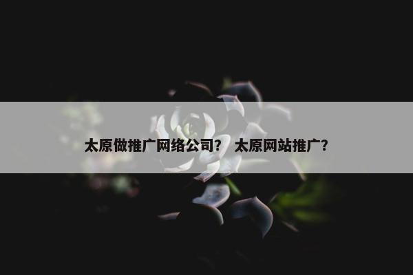 太原做推广网络公司？ 太原网站推广？
