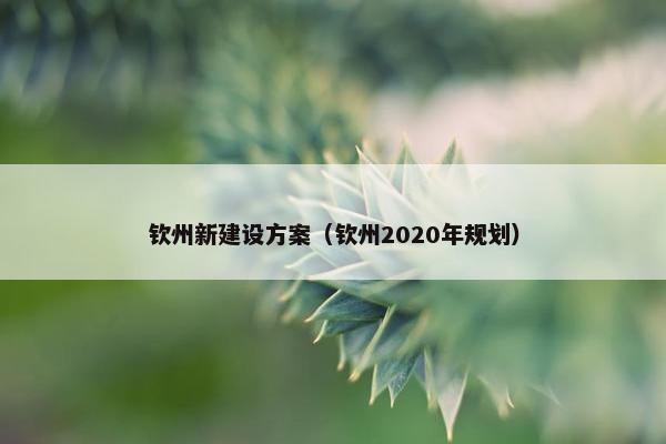 钦州新建设方案（钦州2020年规划）