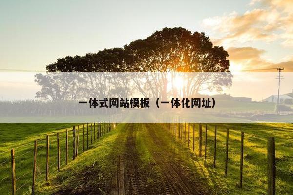 一体式网站模板（一体化网址）