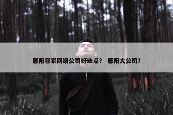 惠阳哪家网络公司好些点？ 惠阳大公司？