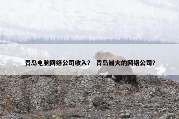 青岛电脑网络公司收入？ 青岛最大的网络公司？