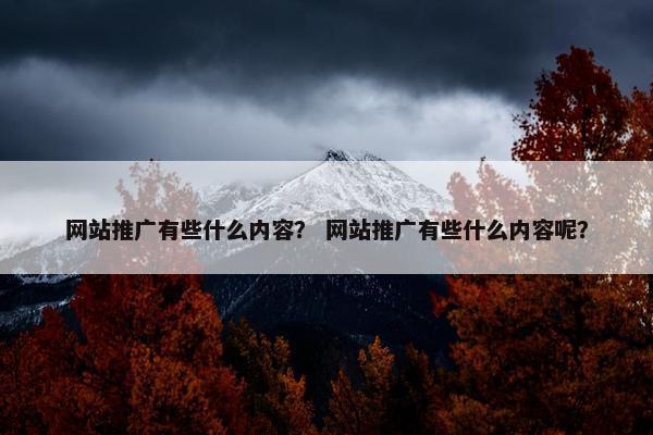 网站推广有些什么内容？ 网站推广有些什么内容呢？