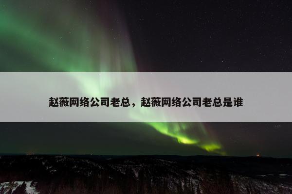 赵薇网络公司老总，赵薇网络公司老总是谁