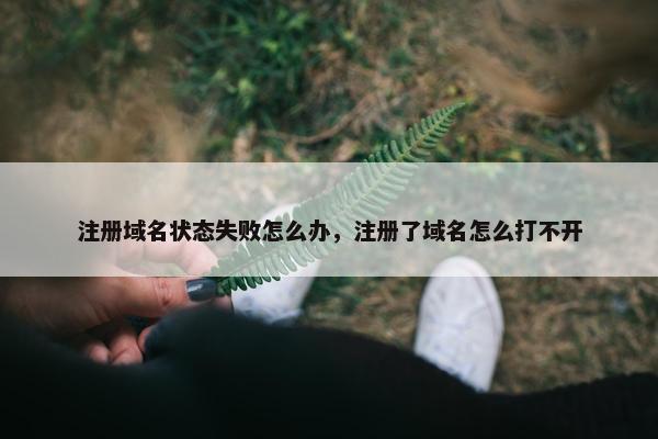 注册域名状态失败怎么办，注册了域名怎么打不开