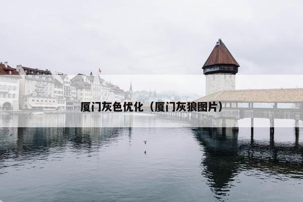 厦门灰色优化（厦门灰狼图片）