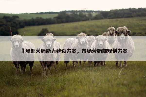 巿场部营销能力建设方案，市场营销部规划方案
