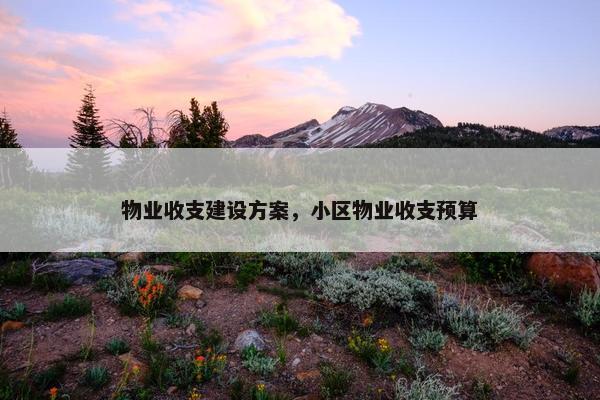 物业收支建设方案，小区物业收支预算