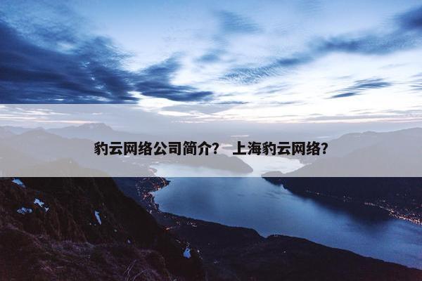 豹云网络公司简介？ 上海豹云网络？