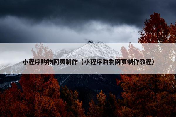 小程序购物网页制作（小程序购物网页制作教程）