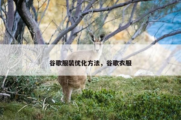谷歌服装优化方法，谷歌衣服