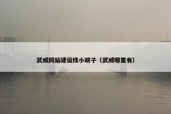 武威网站建设找小胡子（武威哪里有）