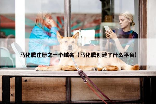 马化腾注册之一个域名（马化腾创建了什么平台）