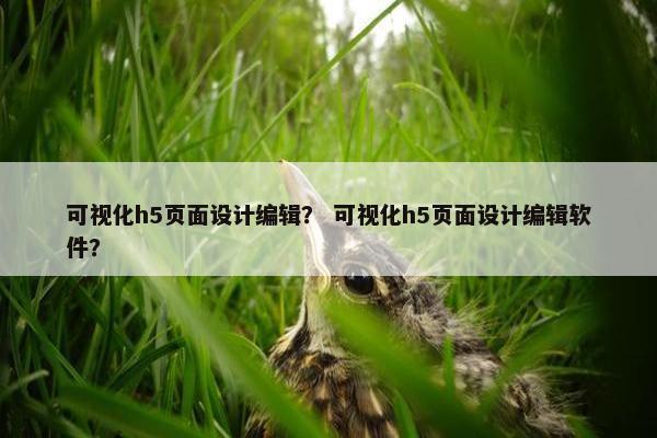 可视化h5页面设计编辑？ 可视化h5页面设计编辑软件？