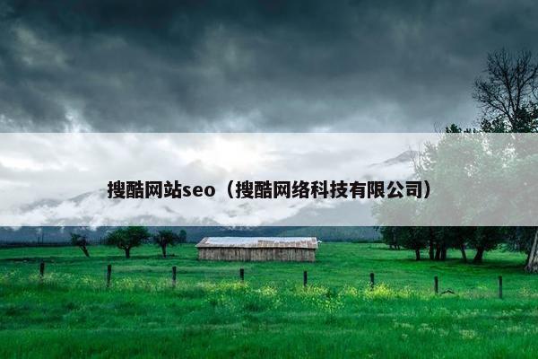 搜酷网站seo（搜酷网络科技有限公司）
