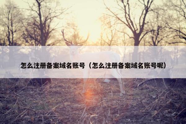 怎么注册备案域名账号（怎么注册备案域名账号呢）