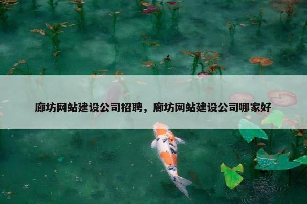 廊坊网站建设公司招聘，廊坊网站建设公司哪家好