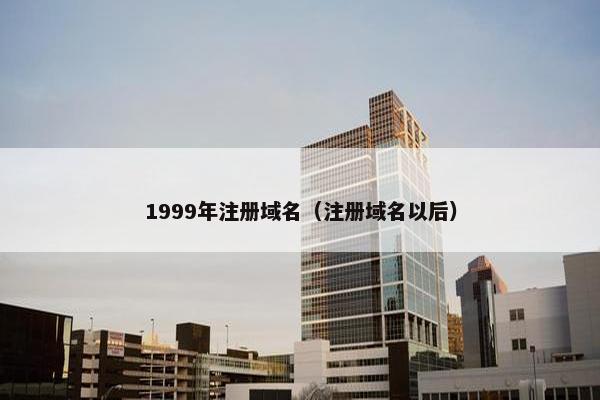 1999年注册域名（注册域名以后）
