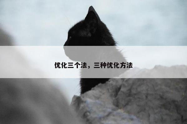 优化三个法，三种优化方法