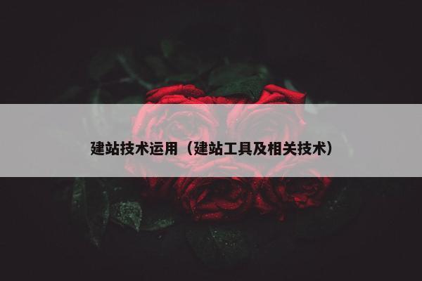 建站技术运用（建站工具及相关技术）