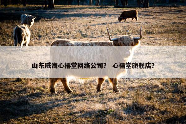 山东威海心禧堂网络公司？ 心禧堂旗舰店？