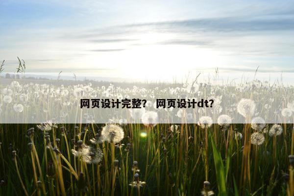 网页设计完整？ 网页设计dt？