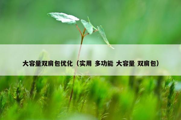 大容量双肩包优化（实用 多功能 大容量 双肩包）