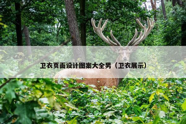 卫衣页面设计图案大全男（卫衣展示）