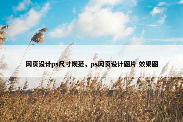 网页设计ps尺寸规范，ps网页设计图片 效果图