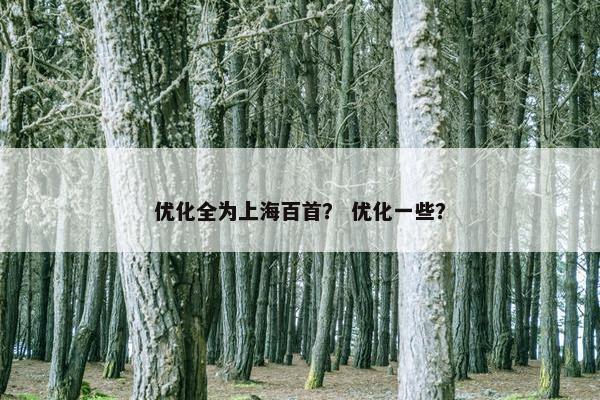 优化全为上海百首？ 优化一些？