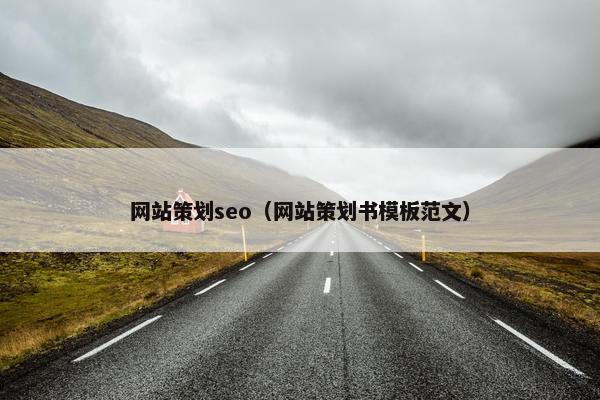 网站策划seo（网站策划书模板范文）