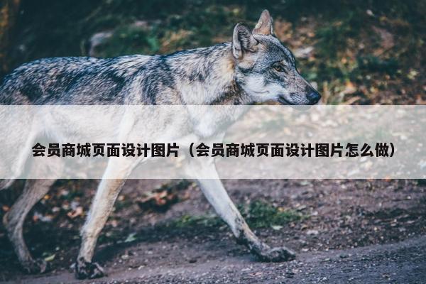会员商城页面设计图片（会员商城页面设计图片怎么做）
