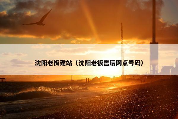 沈阳老板建站（沈阳老板售后网点号码）
