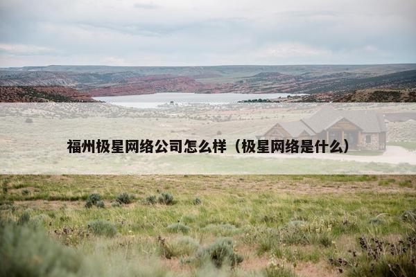 福州极星网络公司怎么样（极星网络是什么）
