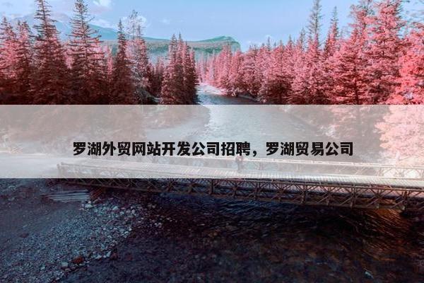 罗湖外贸网站开发公司招聘，罗湖贸易公司