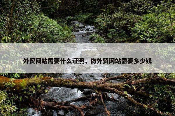 外贸网站需要什么证照，做外贸网站需要多少钱