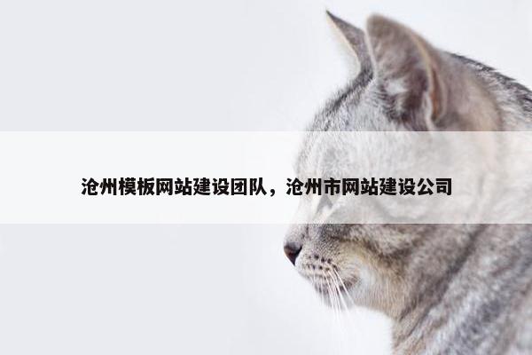 沧州模板网站建设团队，沧州市网站建设公司