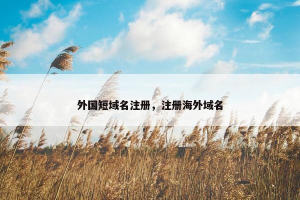 外国短域名注册，注册海外域名