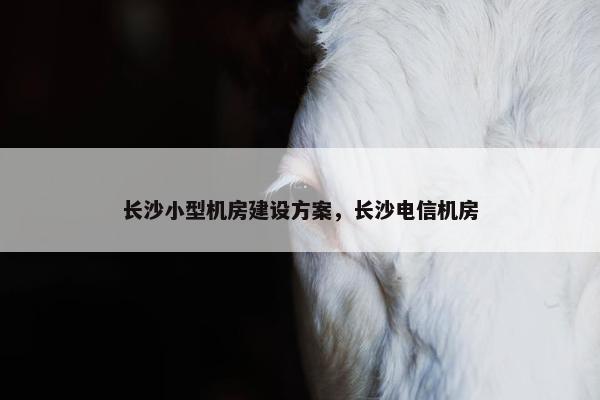 长沙小型机房建设方案，长沙电信机房