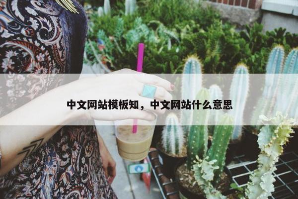 中文网站模板知，中文网站什么意思