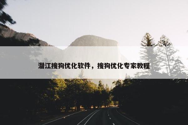 潜江搜狗优化软件，搜狗优化专家教程